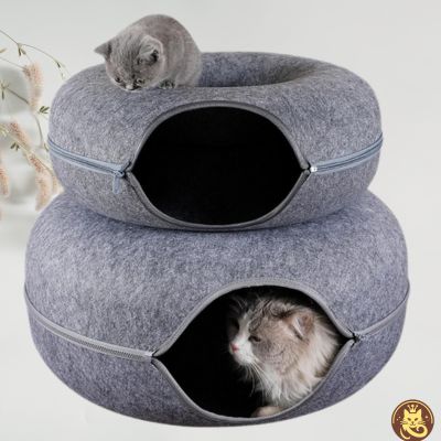 panier chat felty nest gris clair chaton dessus chat caché dedans