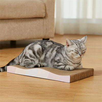 griffoir chat carton chat somnolant paisiblement dessus