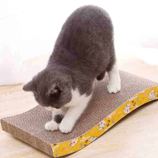 griffoir chat chat fait ses griffes dessus