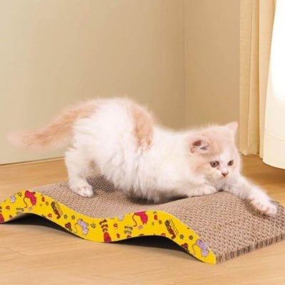 griffoir chat chaton ait ses griffes dessus