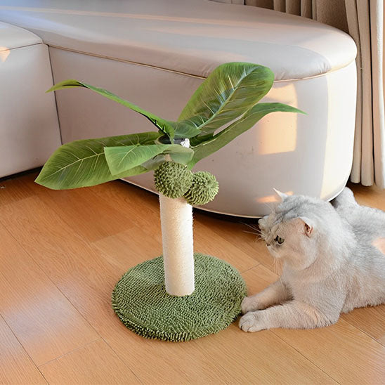 griffoir chat detendu à cÎté poteau dans salon