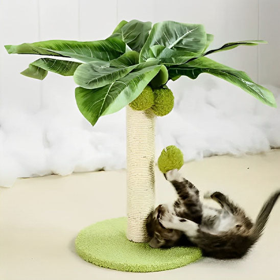 griffoir chaton jouant avec pompon suspendu