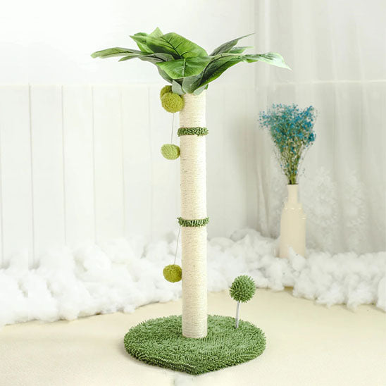 griffoir sur tapis blanc dans salon