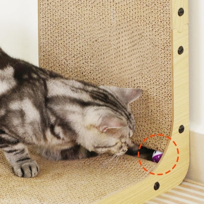 griffoire american shorthair essaye d'attraper balle dans griffoir