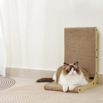 griffoire ragdoll relaxant dessus