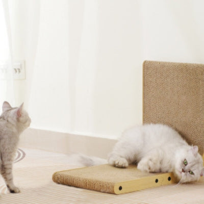 griffoire parsan detendu dessus chat à cÎté