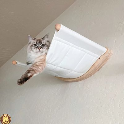 hamac chat comfyzénith fixé au mur  chat detendu dessus