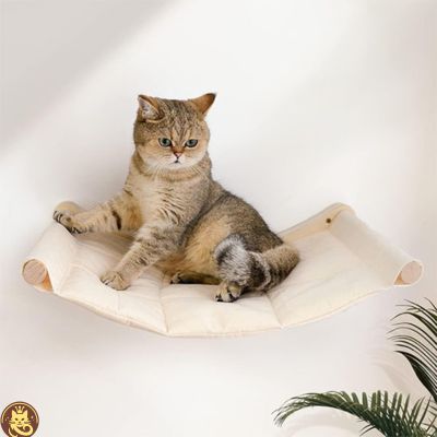 hamac chat comfyzénith fixé au mur chat en detente dessus