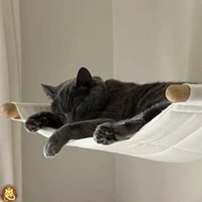 hamac chat comfyzénith fixé au mur chat endormi profondement dessus