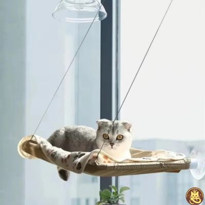 hamac chat fenetre aérius félin beige chaton detendu dessus