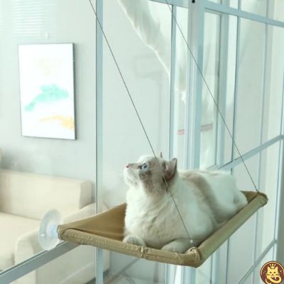 hamac chat fenetre aérius félin beige ragdoll en detente dessus