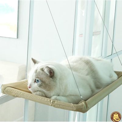 hamac chat fenetre aérius félin beige ragdoll relaxant dessus