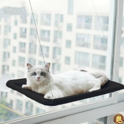 hamac chat fenetre aérius félin noir