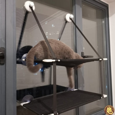 hamac chat fenetre comfyperchoir chaton étage supérieur