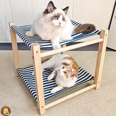 hamac chat harmony lounge deux chats relaxant chacun sur niveau