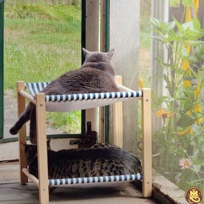 hamac chat harmony lounge bleu deux chats detendus regardant fenĂȘtre