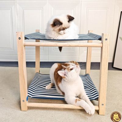 hamac chat harmony lounge chats interagissant chacun sur son niveau