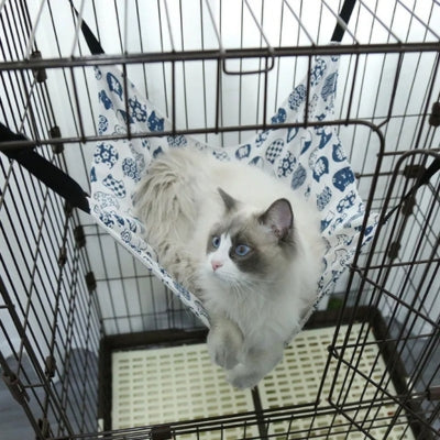 hamac pour chat blanc ragdoll allongé dessus