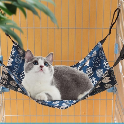 hamac pour chat bleu chat observant dessus