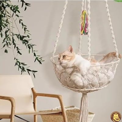hamac pour chat cocon boho suspendu couloir chat detendu dedans