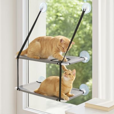 hamac pour chat fenetre deux chatons jouant ensemble dessus