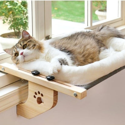 hamac pour chat fenĂȘtre ragdoll relaxant confortablement dessus