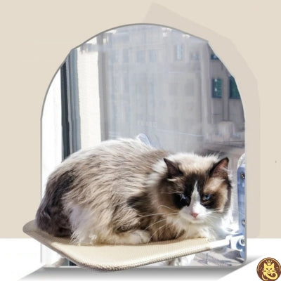 hamac pour chat fenetre tandem win win chat assis en boule dessus