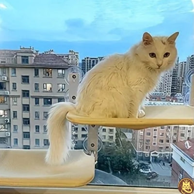 hamac pour chat fenetre tandem win win chat debout dessus