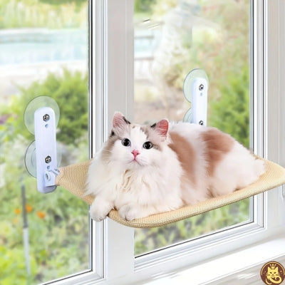 hamac pour chat fenetre tandem win win ragdoll detendu paisiblement dessus