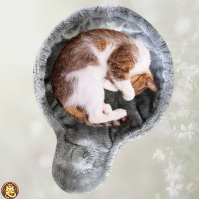 hamac pour chat hamaczen gris chat en boule dedans