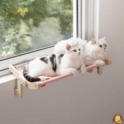 hamac pour chat le belvédère gris rose suspendu fenêtre deux chats relaxant dessus