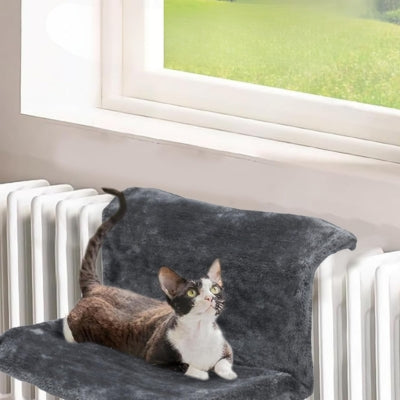 hamac radiateur chat accroché radiateur chaton relaxant dessus