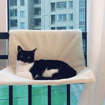 hamac radiateur chat blanc accrochĂ© fenĂȘtre chat relaxant dessus