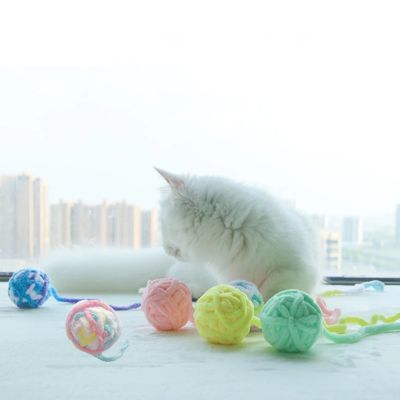 jouet chat balles plusieurs couleurs chaton se reposant