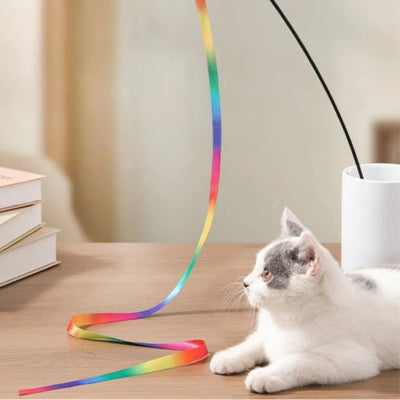 jouet chat chat attiré par couleurs ruban coloré
