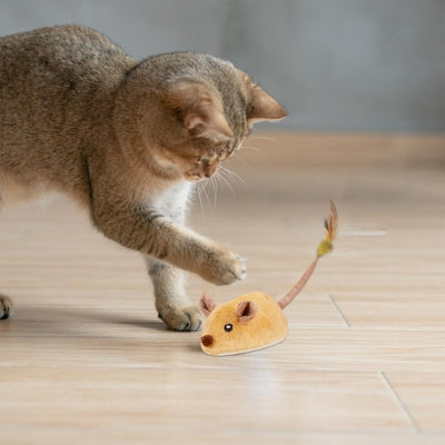 jouet pour chat chat s'amusant avec souris jaune