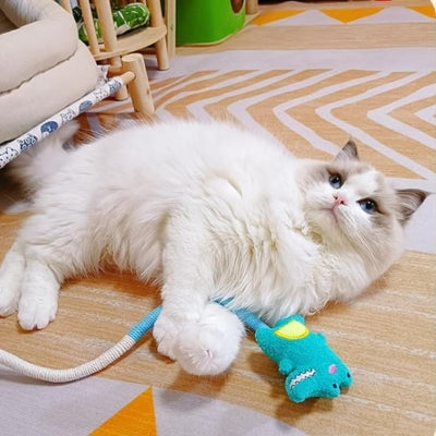 jouet pour chat ragdoll tenant jouet turquois crocodile