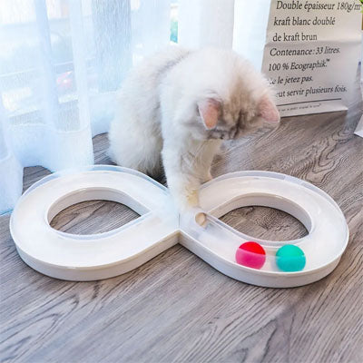 jouets nteractifs pour chat-ragdoll jouant avec intĂ©rĂȘt