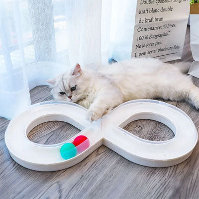 jouets interactifs pour chat ragdoll jouant s'amuse avec balles