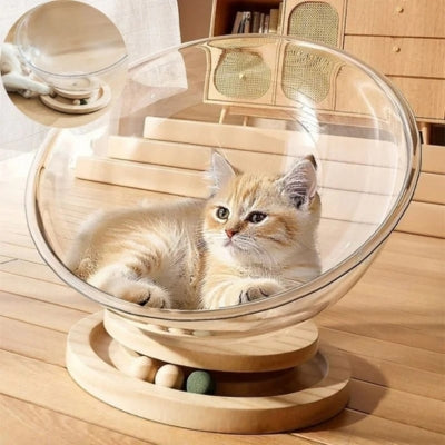 lit chat chaton lové dedans