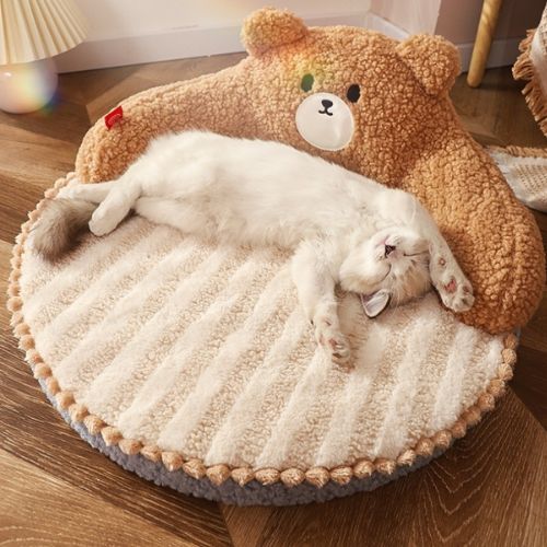 lit pour chat chat dormant sur son dos