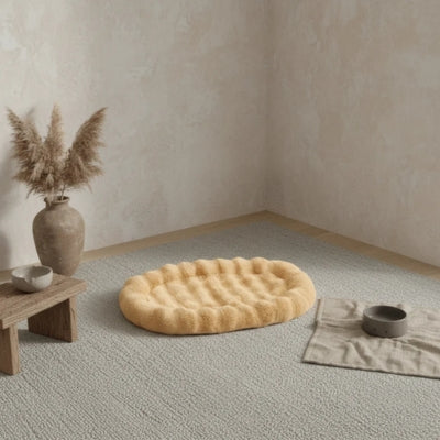 lit pour chaton à cÎté gamelle chat