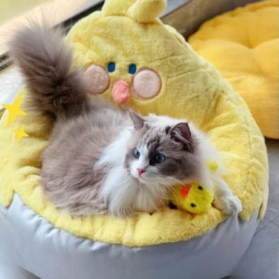 lit pour chat ragdoll relaxant confortablement dedans