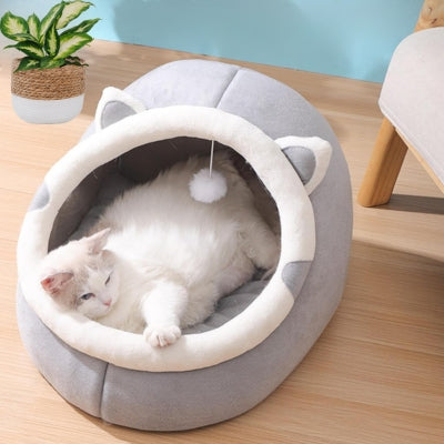 maison à chat chat detendu confortablement dedans