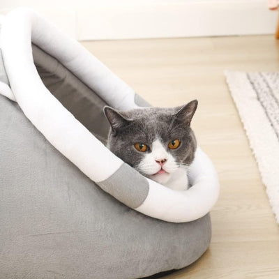 maison à chat chat en detente dedans