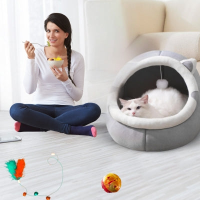 maison à chat chat relaxant dedans femme mangeant bol fruits