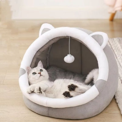 maison à chat relaxant confortablement dedans