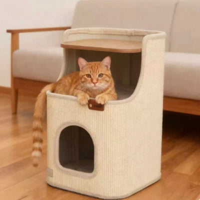 maison à chat dans salon chaton detendu étagère du haut