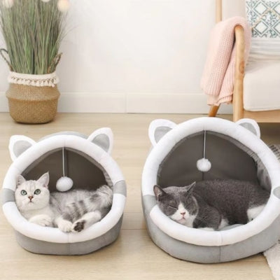 maison à chat deux chats lovés chacun dans sa maison