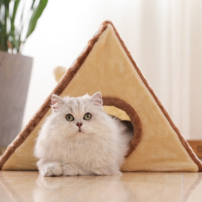 maison à chat pyramide à griffes marron beige ragdoll relaxant dedans
